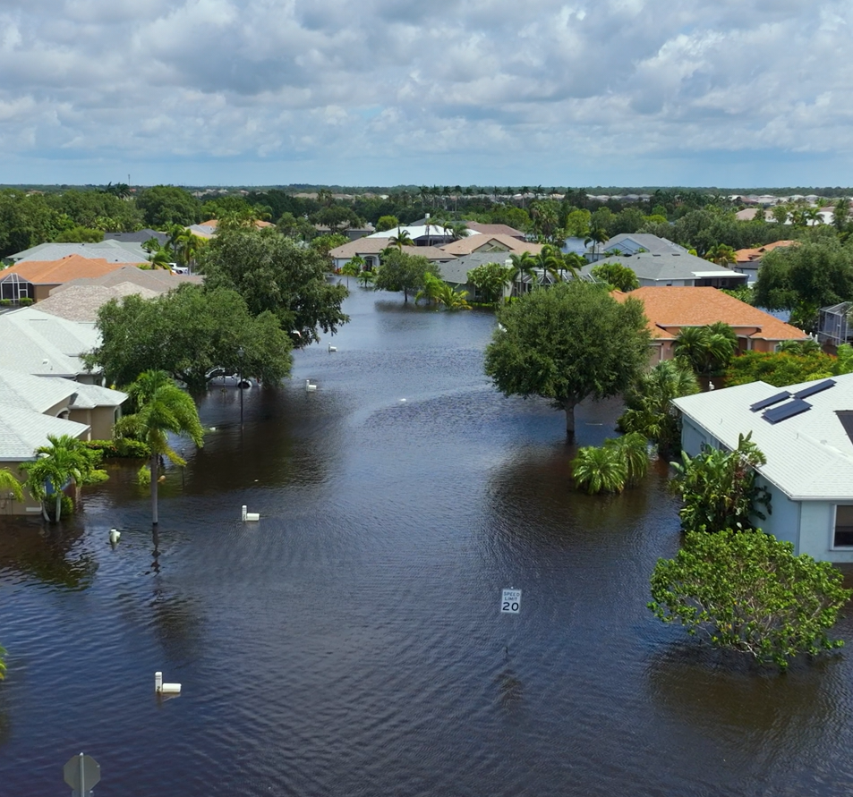 Article Image <p>Five things to know before a loss occurs</p>