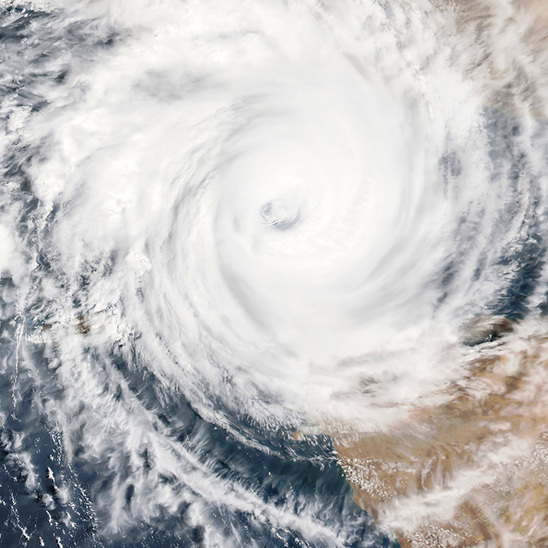 Article Image <p>Family Enterprise Risk Index</p>