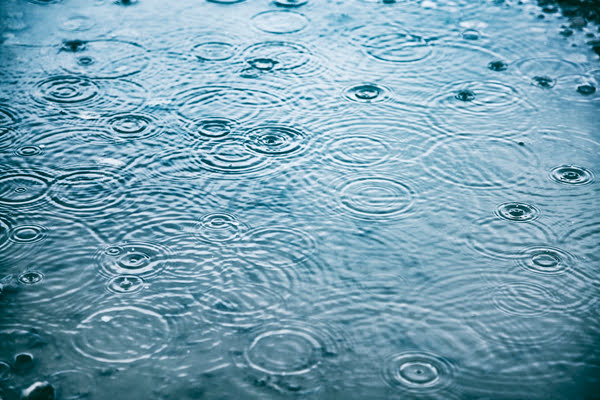 Rain drops on a puddle of water | Alliant Private Client