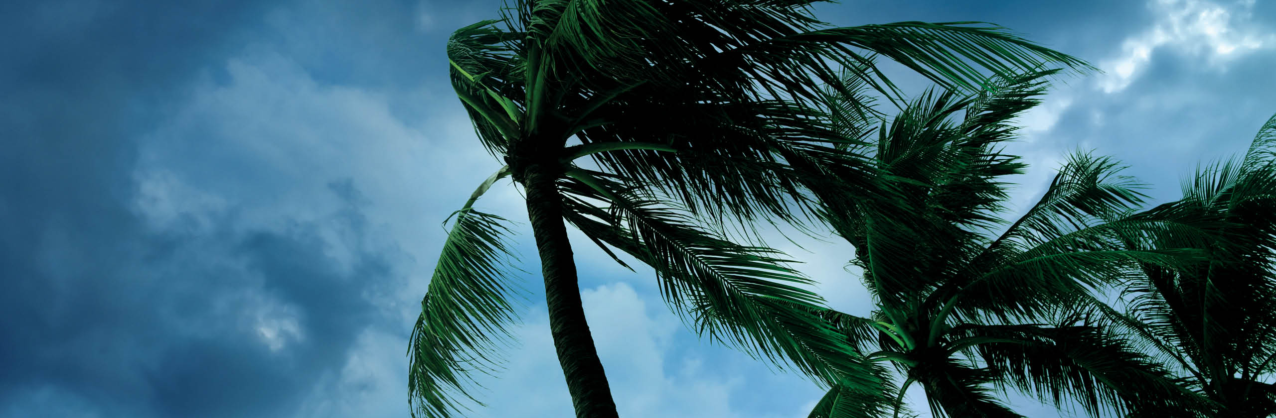 Article Image <p>Hurricane Preparation & Safety Tips</p>