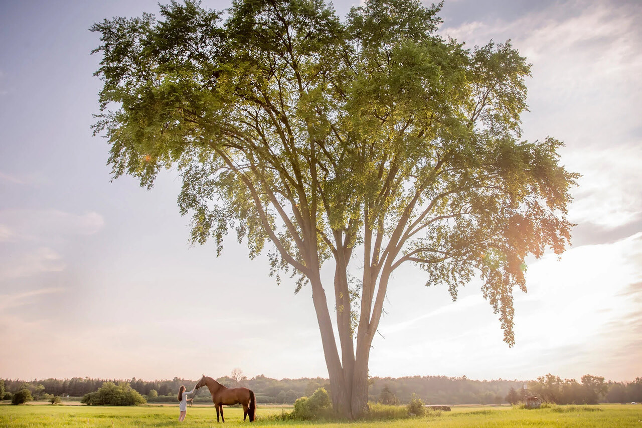 Woman with horse in the middle of a field | Alliant Private Client