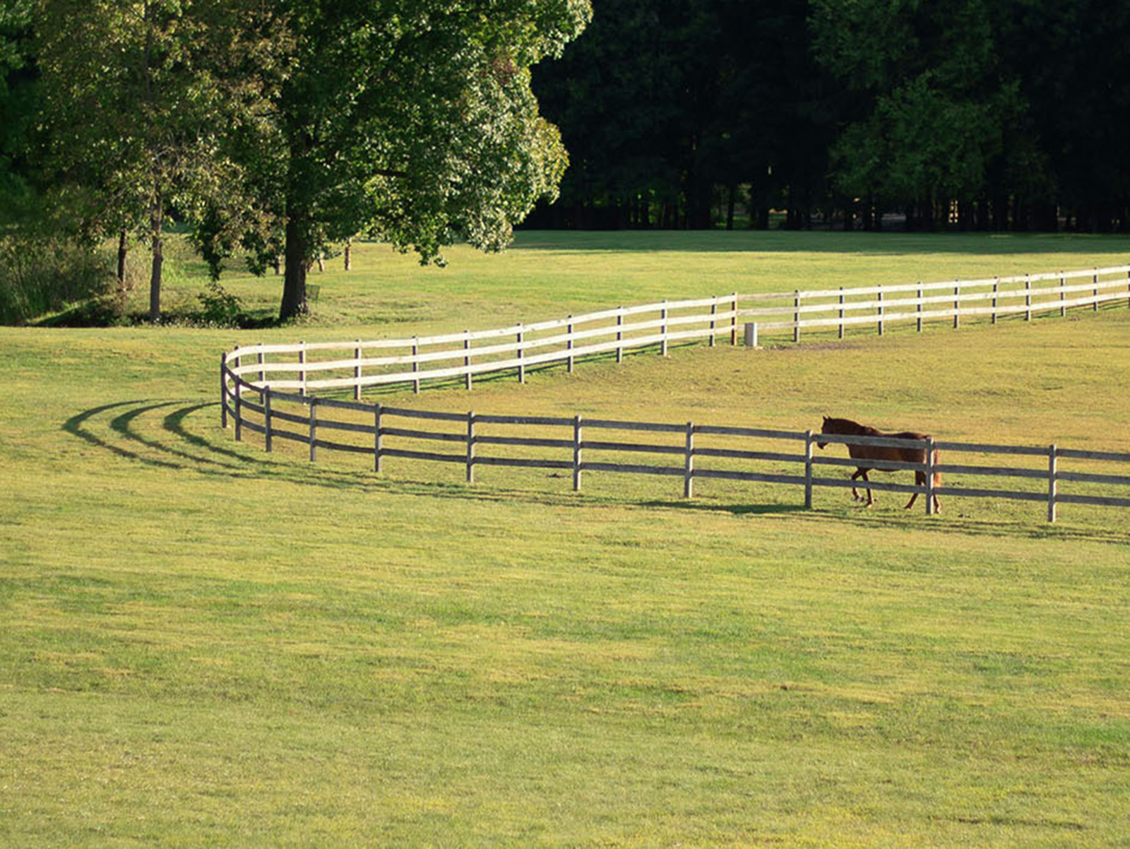 Image - <p>Our dedicated specialty practices</p>