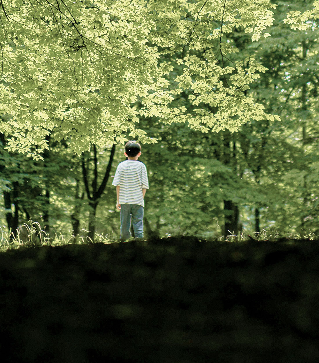 Article Image - <h1>The Risks Parents Face When Their Child Bullies</h1>
