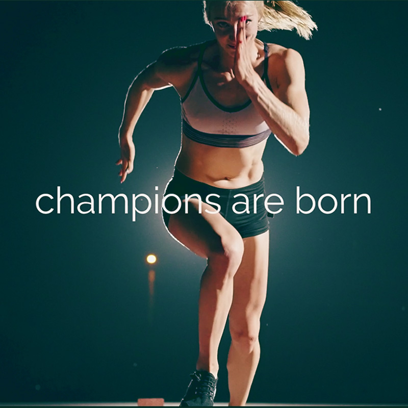Article Image <h2>The making of a champion</h2>