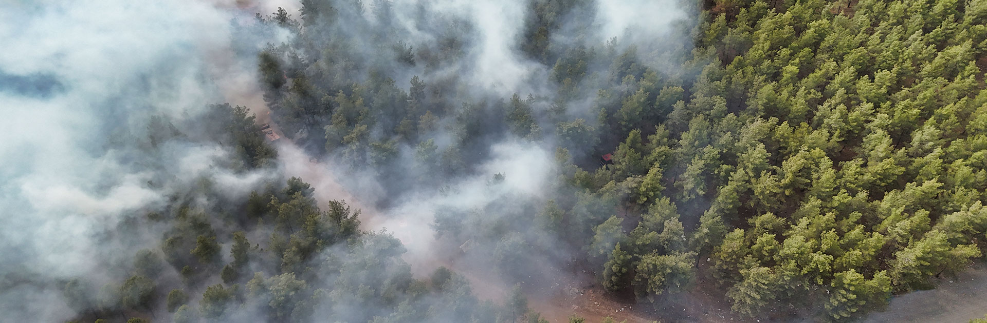 Trees silhouetted against smoky skies above a dry landscape, representing the looming threat of wildfires and the proactive protection provided by Alliant Private Client.